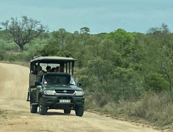 kruger experience